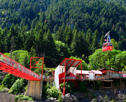 suspension bridge and airtram